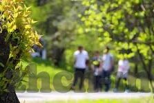 开云体育首页官网-掌握运动新世界，从开云体育首页官网开启